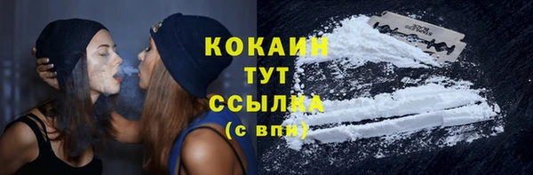 spice Алзамай