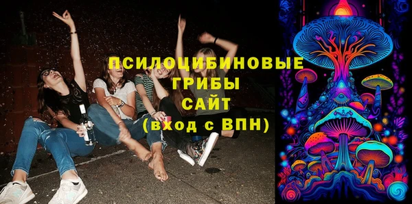 spice Алзамай