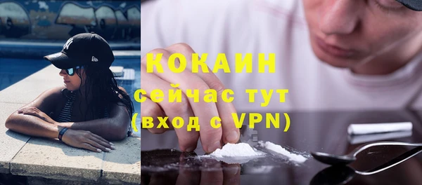 дурь Алексин