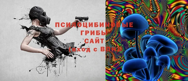 дурь Алексин