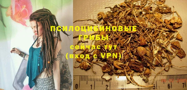 spice Алзамай