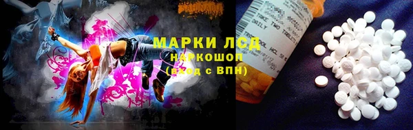 spice Алзамай